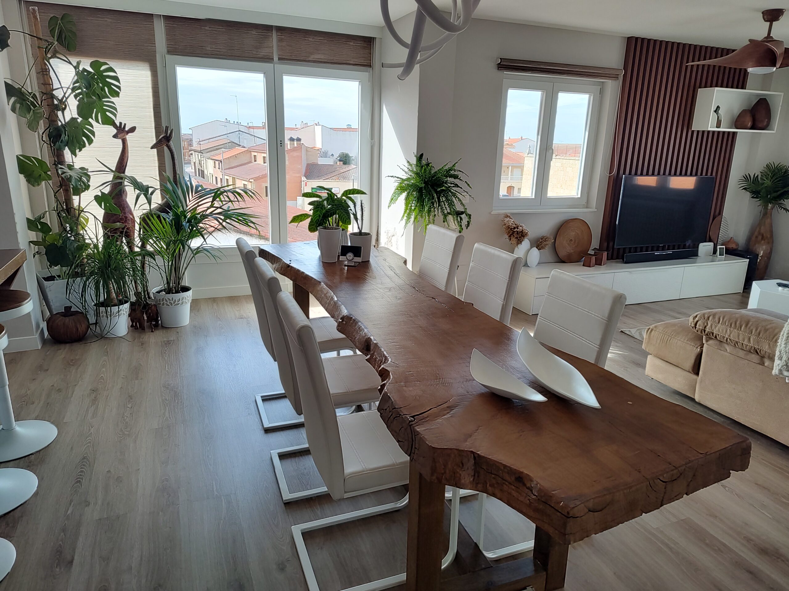 IMG_20230218_153545721_HDR